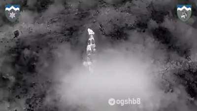 Edelweiss helping orcs to eternal sleep