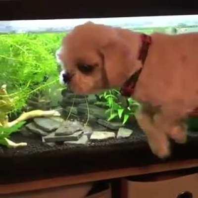 I can't stop laughing.