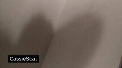 Taking a BIG Dump in Target's Trashcan [GIF]