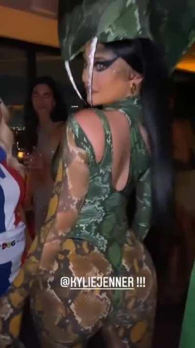 kylie jenner has the fattest ass