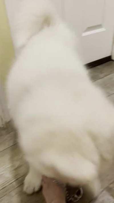 Enough tricks! Let’s get on with breakfast!