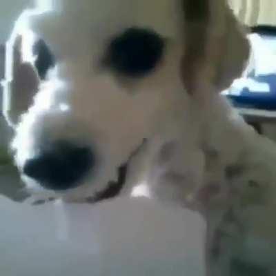 Dale entrega el papelito