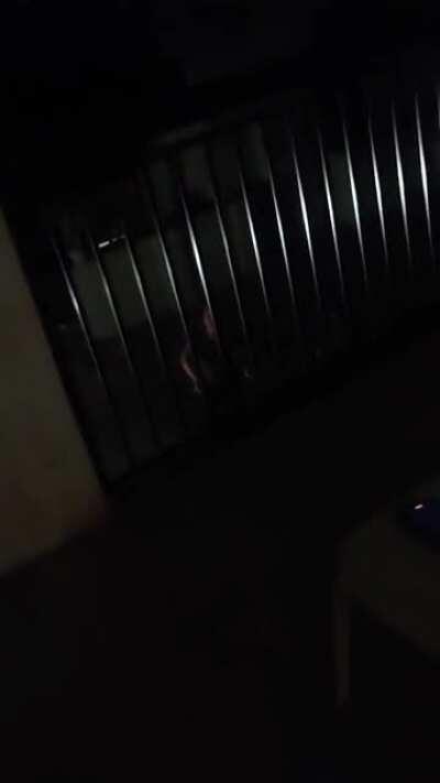 Meet my downstairs neighbor, Curbside Karen.