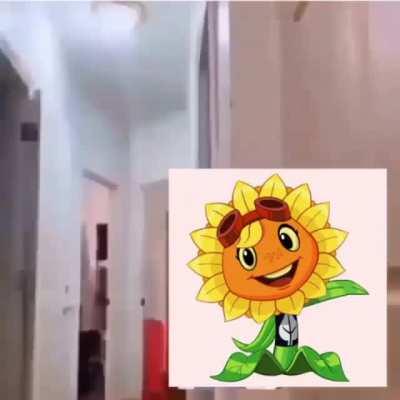 PvZ lore