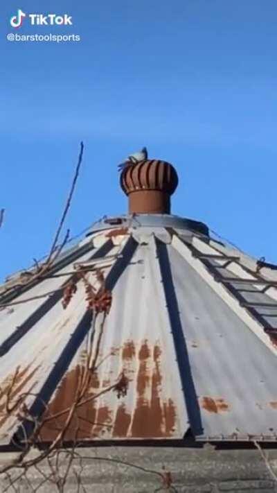 360° security drone