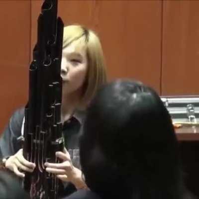 The sheng is a Chinese mouth-blown free reed instrument consisting of vertical pipes.