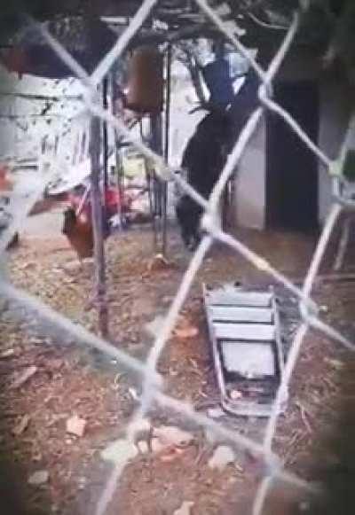 look at this fine stack of MAN