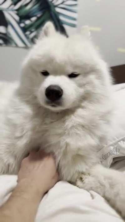 She’s so unimpressed . I guess i gotta make more effort