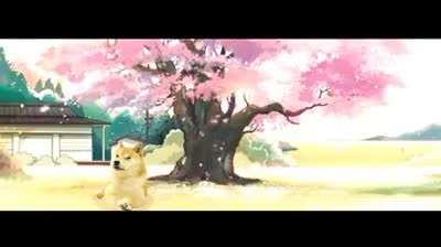 Origin story of Doge Bonk