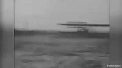 Get Back to Your Roots