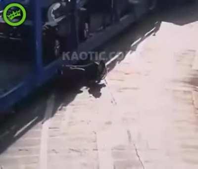 Definitely chaotic. Most certain abrupt.