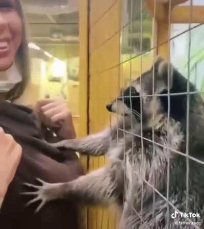 This one puts the trash in trashpanda