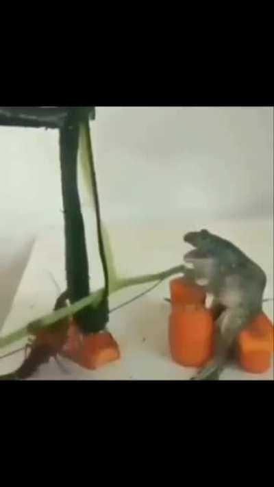 Don’t know if this was ever posted here but just making sure it is