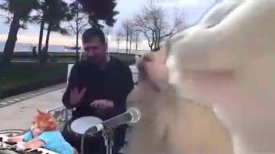 I like this video a lot, because it sparks joy to me