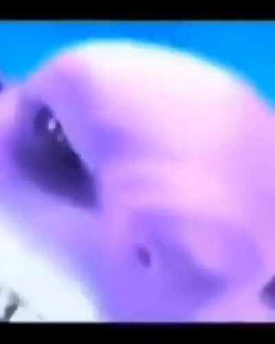 SENİ ŞANSLI T&Uuml;RK!