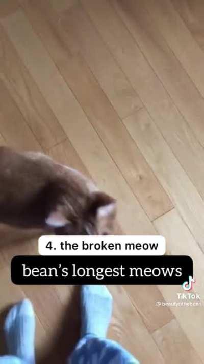 One Bean's Voice