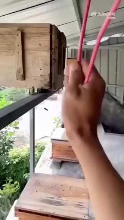 If this person isn't the best beekeeper then who is?