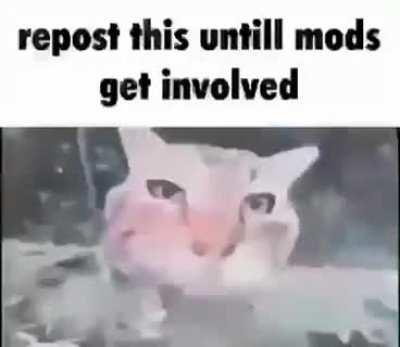 okkolegauposledzony - Video #7625