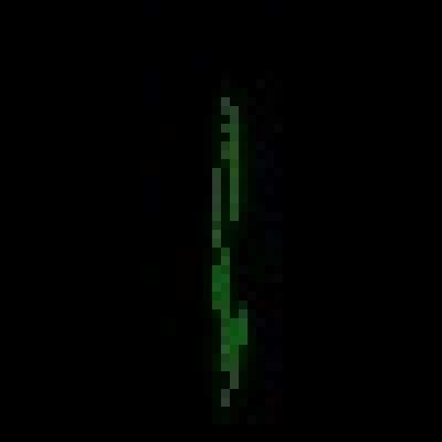 GUYS LOOK MAPLE LEAFAHHAGSVE