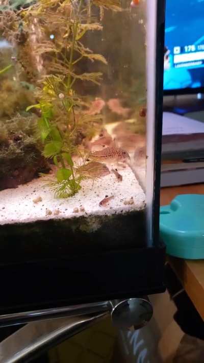 The children are oblivious