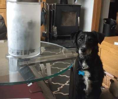 Very subtle, very cute