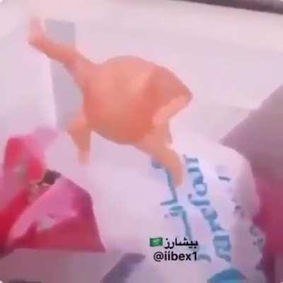 [Arabic>English] Man finds dancing chicken, anyone know what he's saying?