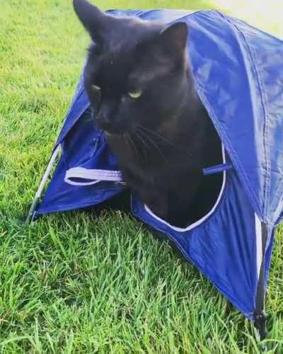 You have to mark your territory