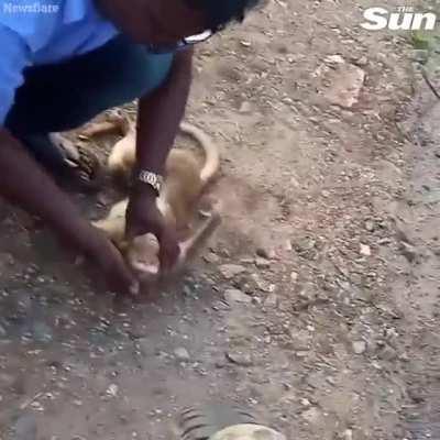 Beautiful act by human