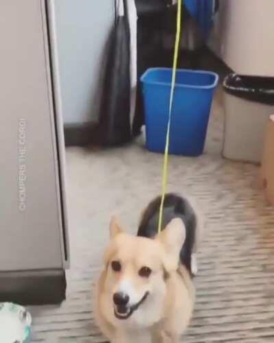 Someone brought a kid to work agai- oh