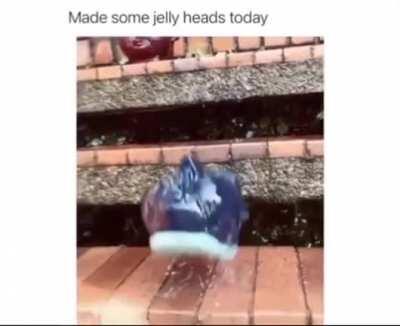 How my head is feeling this morning