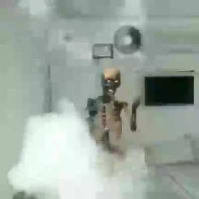 Your daily dose of WTF did I just watch