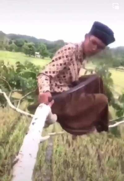 Gravity, how does it work?