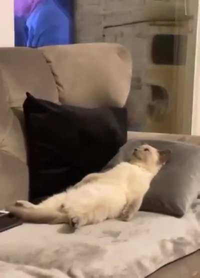 Think about all the things we shared