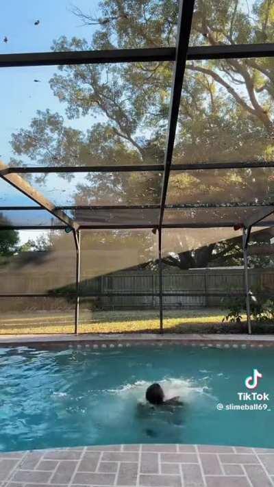 Geez, Louise 😮‍💨