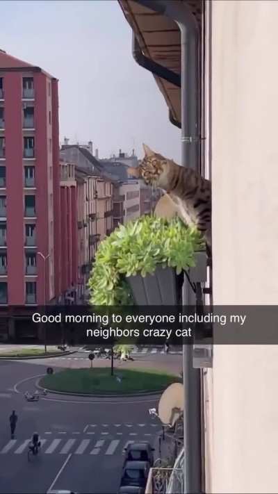 I knew someone was watching me…