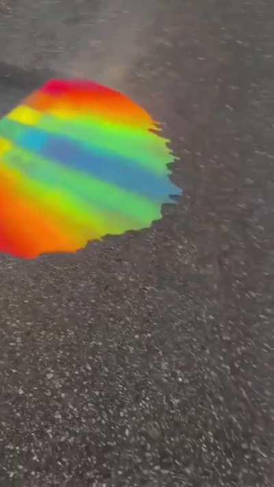 The rainbow on the ground.