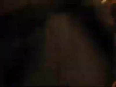 Lion was just tired of all the bs