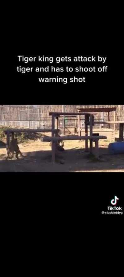 Man uses a warning shot to fend off a tiger attack