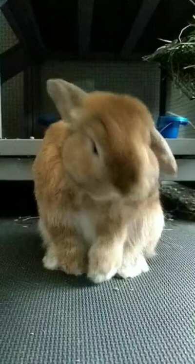 I got caught filming him