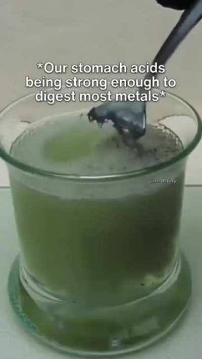 The king of shit (Heil spez)