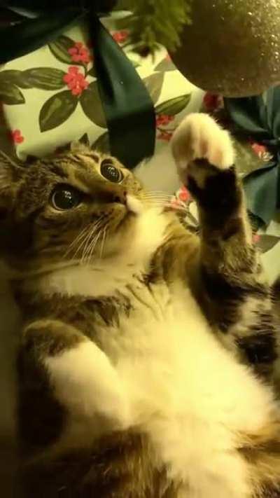 Honestly just doing this to get the u/savevideo bot