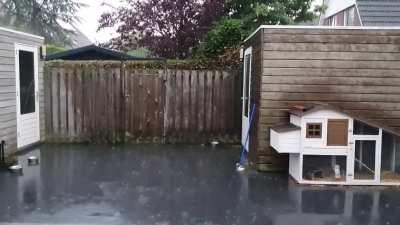 ASMR rain with a surprise lighting flash at the end.