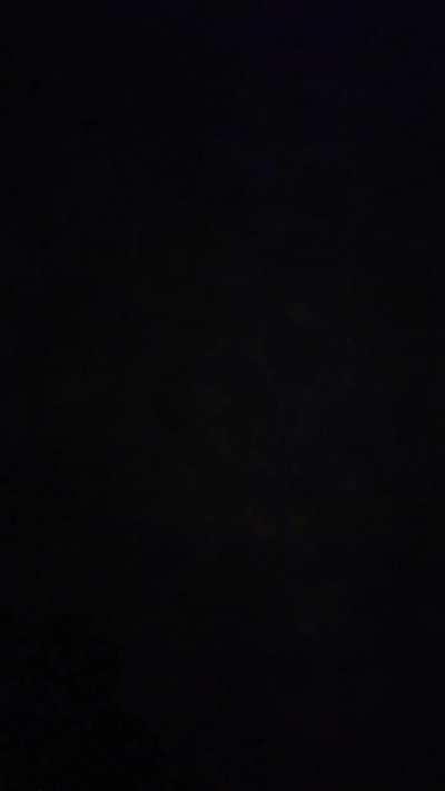 With her dogs IG 8/21/2023