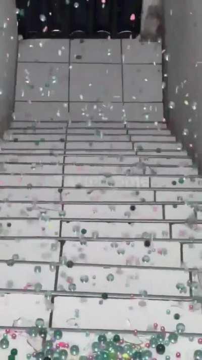 I can't stop watching these videos. It gives me so much pleasure. Is it just me?