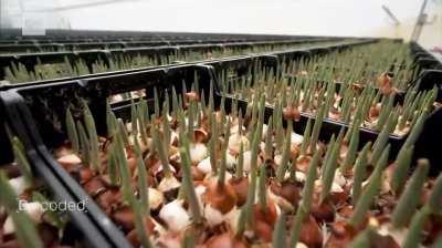 Every home, every business, every energy producer will mine bitcoin. It would be daft not to