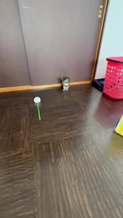 Bro's got lightning fast reflexes