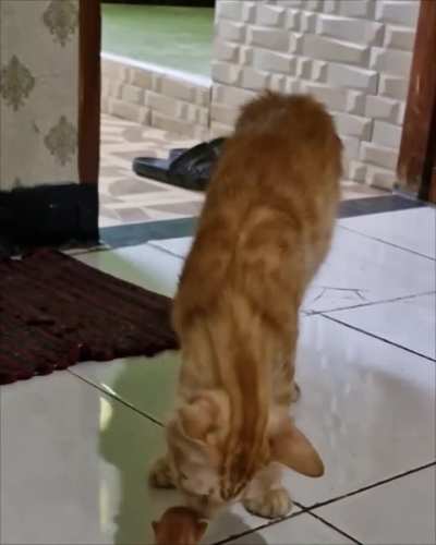 wunk is FLABBERGASTED