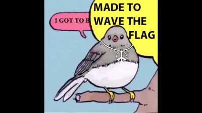 A carinha dele KKKKKKK