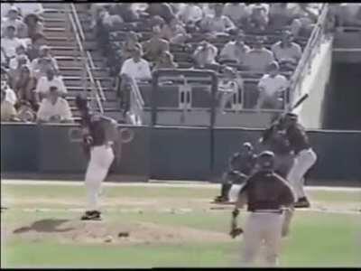 Baseball pitcher Randy Johnson accidentally hits and kills bird with baseball