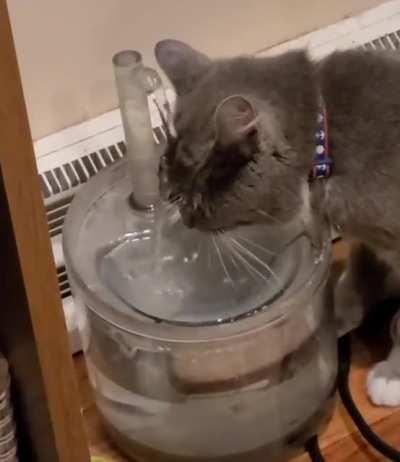 It's fine. This is fine.